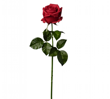 Rosa Bocciolo Grande Real Touch Cm 66 Decorazioni Composizione Floreale