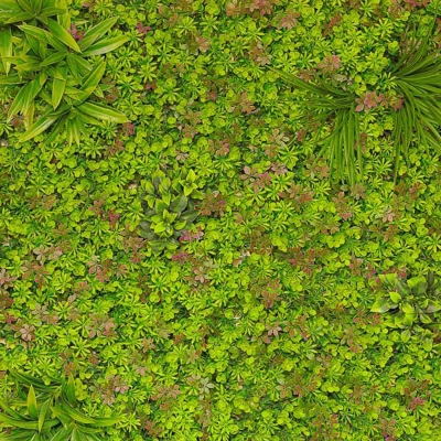 Parete Vegetale Artificiale Con Fiori Mt 1x1 Effetto Real Touch Lattice