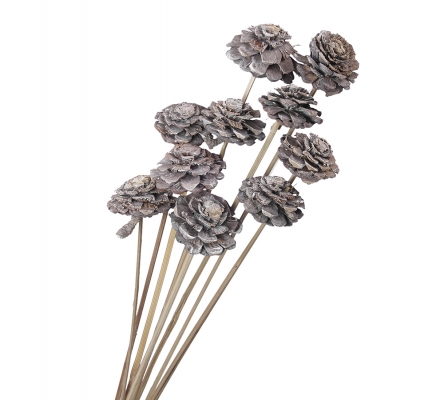 Pigna Fiore Gambo Bianco Pz 10 Naturale Essiccato Decorazioni Addobbi Autunno
