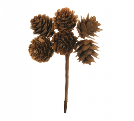 Pick Pignetta Naturale Pz 72 Decorazione Natale