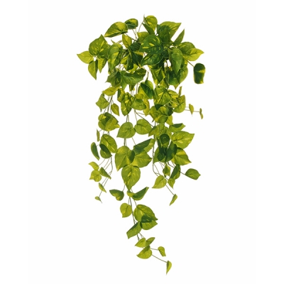 Cadente Pothos Cm 75 Artificiale Composizione Floreale