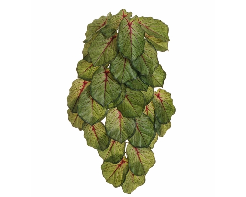 Cadente Syngonium Real Touch Cm 60 Decorazione Composizione Floreale