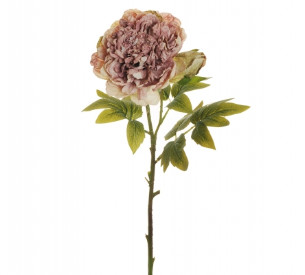 Peonia Dry Look Artificiali Autunno Composizione Floreale Addobbi Matrimonio Celebrazioni