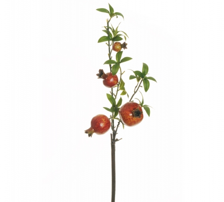 Ramo Melograno Frutti Foglie Decorazioni Artificiali Composizione Floreale Addobbi