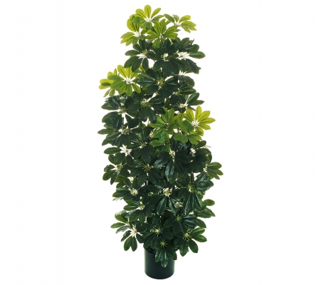Pianta Scheflera Cm 130 Artificiale Decorazione Composizione Floreale