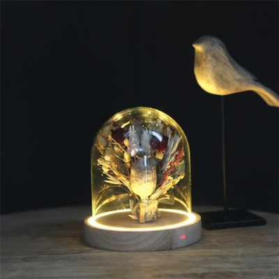 Campana Cilindro Led D. 10 H. 15,5 Decorazione Casa Ufficio Vetrina