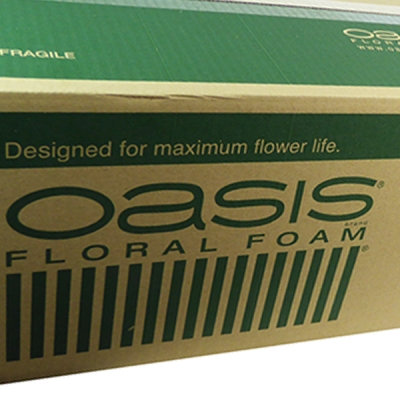 Spugna Oasis Standard 20 Mattonelle Decorazione Composizione Fiori Freschi
