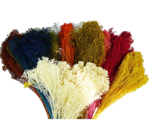Broom Bloom Fiori Secchi Da 100 Gr Composizioni Addobbi Floreali