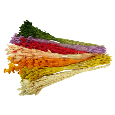 Poa Colorata Stabilizzata Essiccata Composizione Floreale