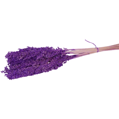 Sorgo Viola Naturale Stabilizzato Composizione Floreale Matrimonio