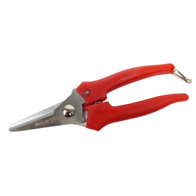 Forbice Vigna 5,5 Acciaio Inox Utensili Fioristi Hobby Creativi