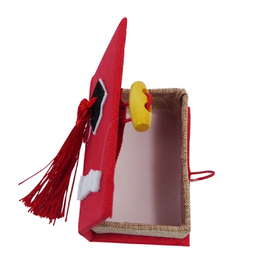 Libro Laurea Nappina Pz 6 Bomboniere Fai Da Te Applicazione