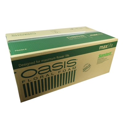 Spugna Oasis Standard 20 Mattonelle Decorazione Composizione Fiori Freschi