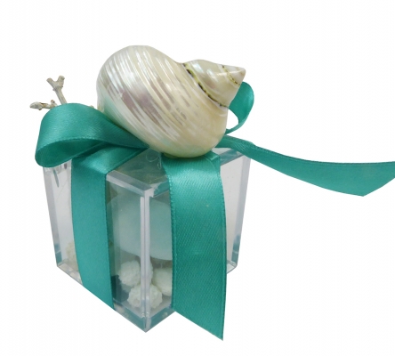 Bomboniere Matrimonio Linea Mare Scatolina Conchiglia Maxi