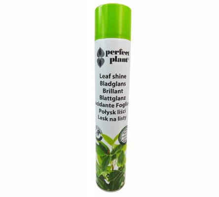 Lucidante Spray Perfect Plant 750 Ml Composizione Floreale Fioristi