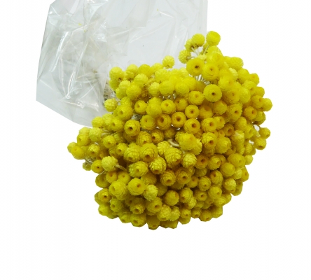 Immortellen Gr 50 Essiccata Naturale Colorata Composizione Floreale