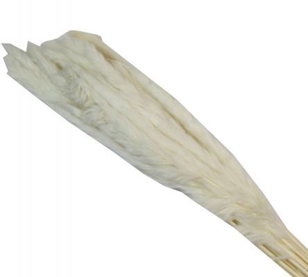 Mini Pamaps Gr 100 Naturale Colorata Stabilizzata Composizione Floreale Addobbi