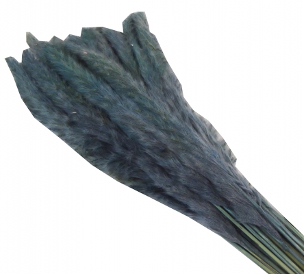 Mini Pamaps Gr 100 Naturale Colorata Stabilizzata Composizione Floreale Addobbi