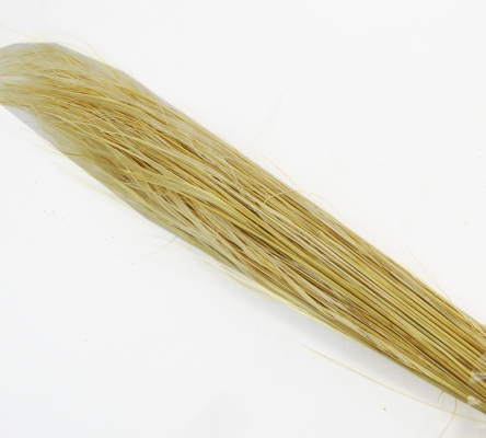 Stipa Pennata Gr 100 Naturale Stabilizzata Colorata Composizione Floreale Addobbi