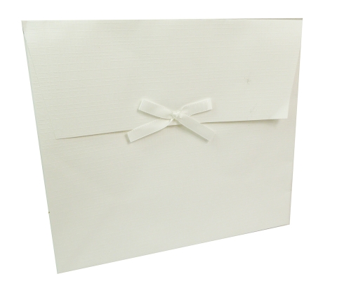 Gift Bag 16x8x14 Pz 10 Decorazioni Incartamenti