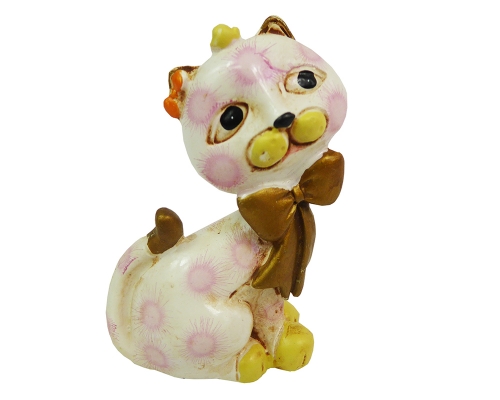 Gattina 12 Pezzi
