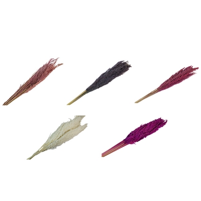 Eryanthus Colorato Secchi Pz 10 Decorazione Composizione Floreale Addobbi
