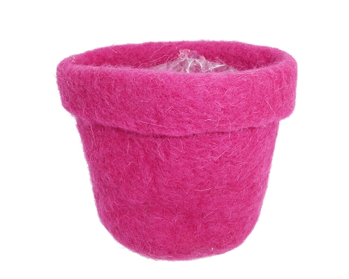 Fuxia