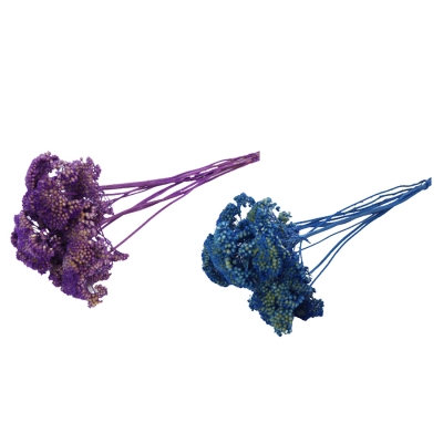 Achillea Stabilizzata Pz 10 Colorata Composizione Floreale