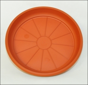 Sottovaso Botanico D. 26 Cm