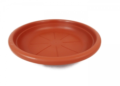 Sottovaso Botanico D. 30