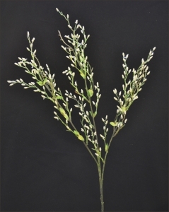Pussy Willow Mini Modellabile 75 Cm
