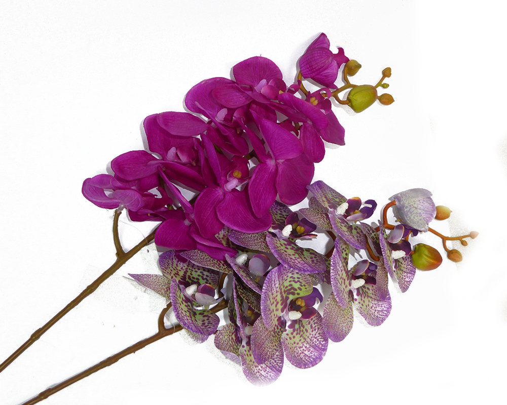 Ramo Phalenopsis 75 Cm Real Touch Addobbi E Composizioni