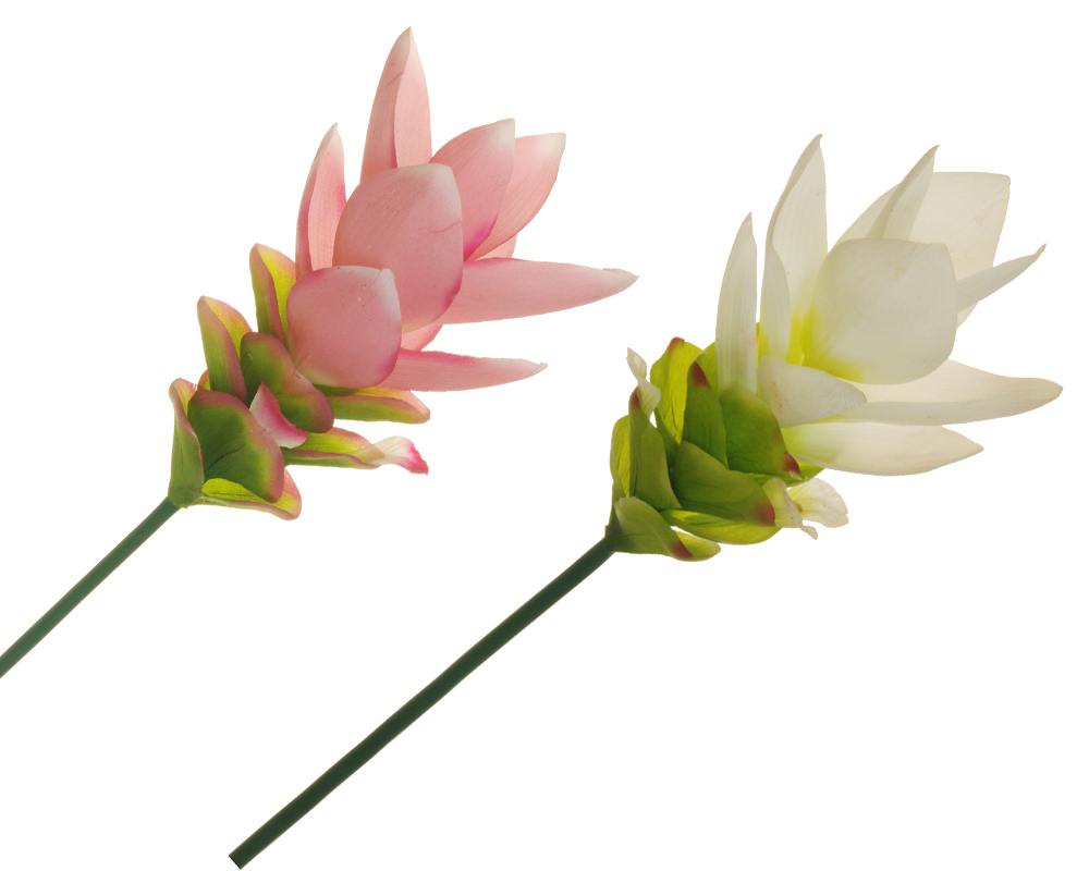 Curcuma Real Touch Fiore Artificiale Cm 66