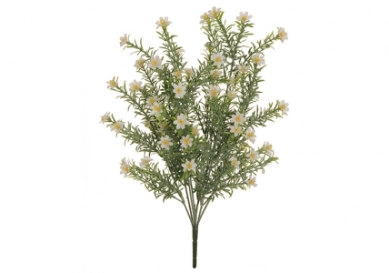 Rosamarino Floked