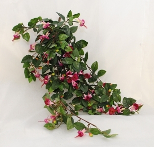 Cadente Di Fuxia Fiorita