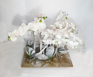 Composizione Orchidee