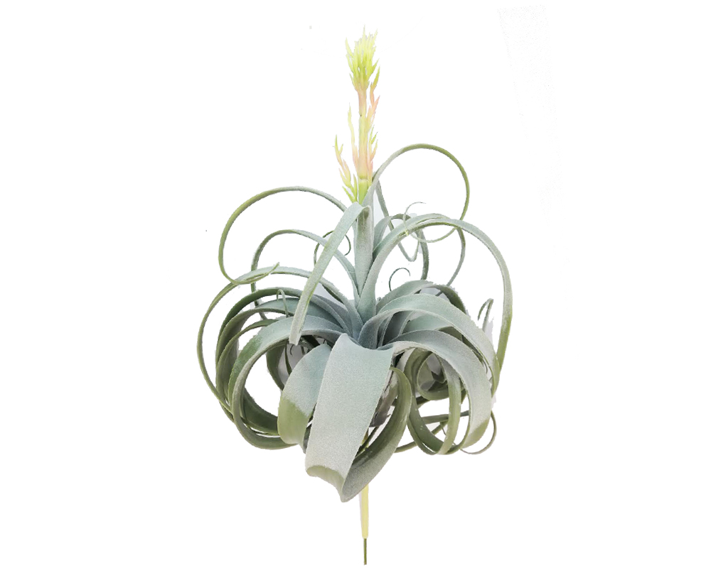 Pianta Air Grass Cm 55 Artificiale Decorazione Composizione
