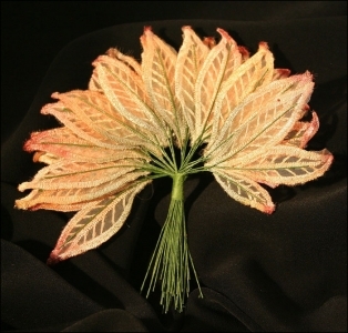 12 Foglie Organza Fiorellini