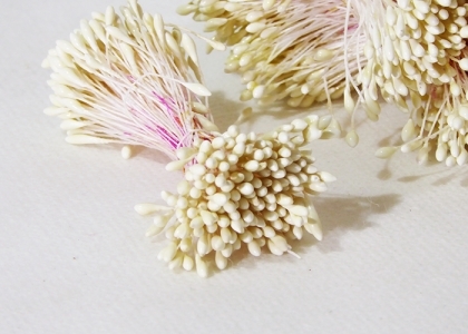 1200 Pistilli Sacchetto Fiorellini
