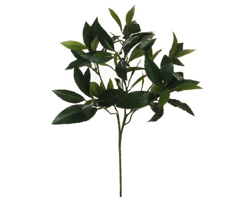 Busch Alloro Cm 49 Decorazioni Addobbi Wedding Matrimonio