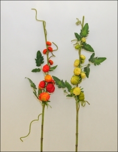 Ramo Di Pomodori