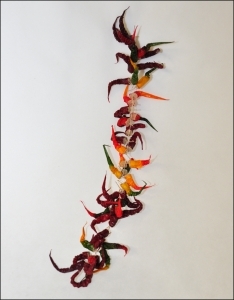 Catena Di Peperoncini