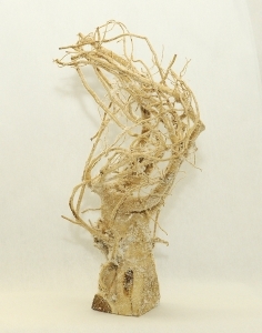 Radici Naturali Di Abete Sbiancate Con Neve Da 30x20x50 Cm Circa