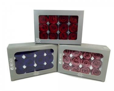 12 Rose Naturali Stabilizzate