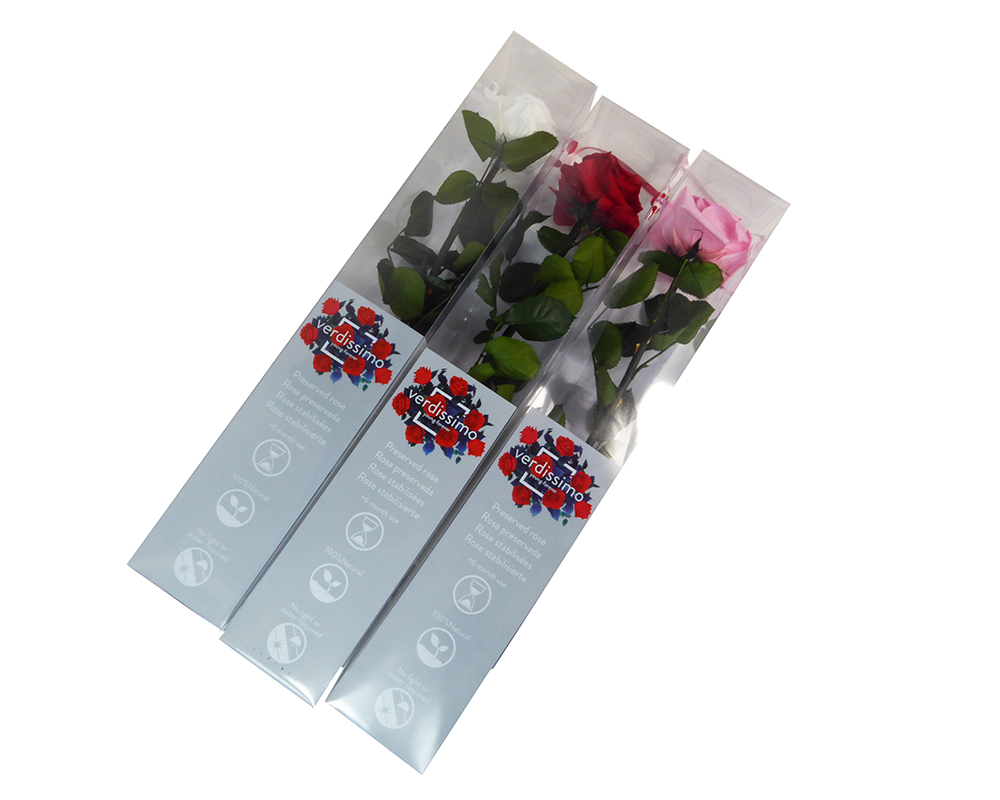 Rosa Naturale Stabilizzata Amorosa D.8xH.55 Cm  Premium C/gambo