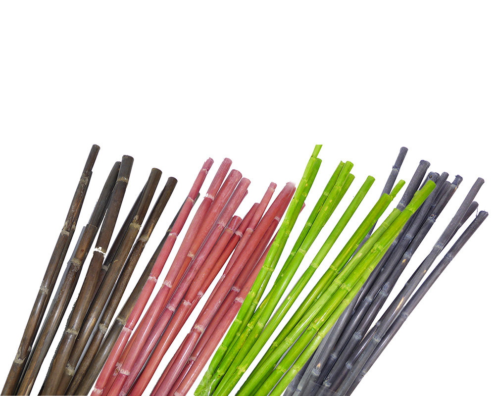 Pz 10 Bamboo Colorato Mt 1 Naturale Decorazione Arredo