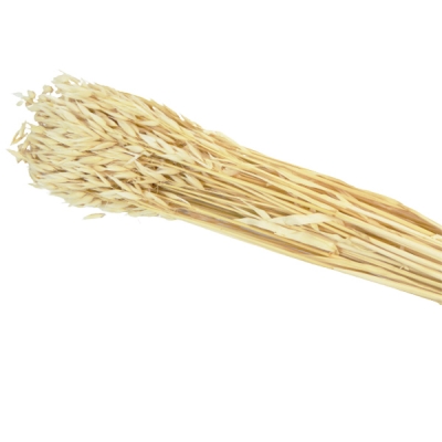 Avena Sbiancata Gr 100 Fiori Essiccati Stabilizzati Composizione Floreale