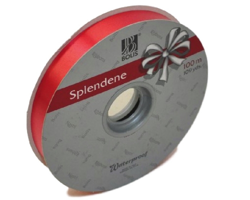 Rotolo Nastro Splendene Mm 19