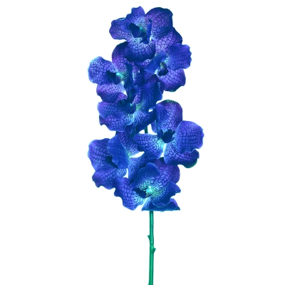 Ramo Orchidea Vanda Effetto Real Touch Decorazione Fioristi