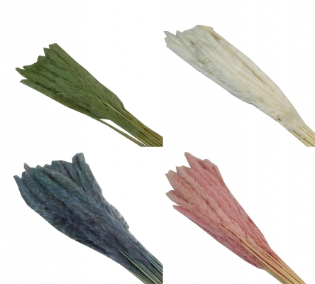 Mini Pamaps Gr 100 Naturale Colorata Stabilizzata Composizione Floreale Addobbi
